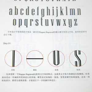 字白书 te效字体设计专业教程 字体设计视频教程 字体设计教程 理论方法技巧 平面设计书 字体设计进化论 站酷推荐