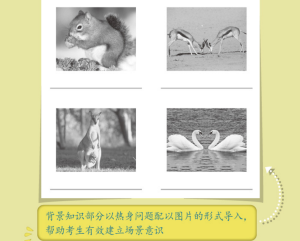 新东方 直通托福基础教程 听力 托福备考基础阶段推荐用书 托福备考基础阶段推荐用书 英语考试 托福TOEFL