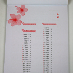 每天写一点韩文 标准韩语手写体临摹字帖 韩语发音入门 韩文入门习字帖 韩语手写体字帖 初级韩语练字帖 韩语全攻略