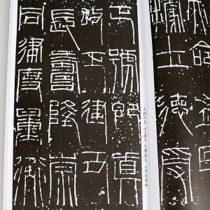 书法自学丛帖:篆隶 上册 篆书隶书毛笔书法字帖入门基础训练教程 上海书画 中国书法印章篆刻碑帖鉴赏临摹书籍 书法自学丛书 篆隶