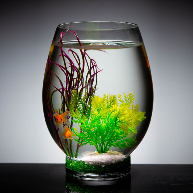 Small Desktop Mini Ecosystem Tank Acrylic Fish Tank