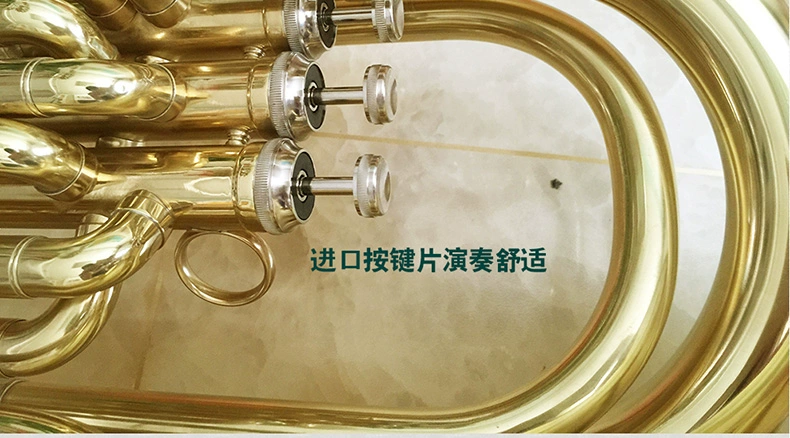Đức Murphyt ôm lớn xuống b điều chỉnh ba phím phẳng trên loa trầm lớn bảo trì trọn đời - Nhạc cụ phương Tây trống yamaha