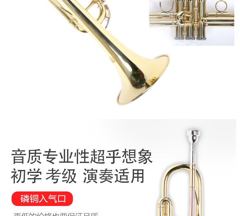Authentic Murphyt nhạc cụ nhỏ / B phẳng sơn mài bằng đồng mạ bạc nhạc cụ số nhỏ người mới bắt đầu chơi chuyên nghiệp - Nhạc cụ phương Tây đàn mini
