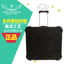 Murphy Tete Accordion Pack 60 96120 Bass Universal Upscale Accordion Luggage Pull Bar box