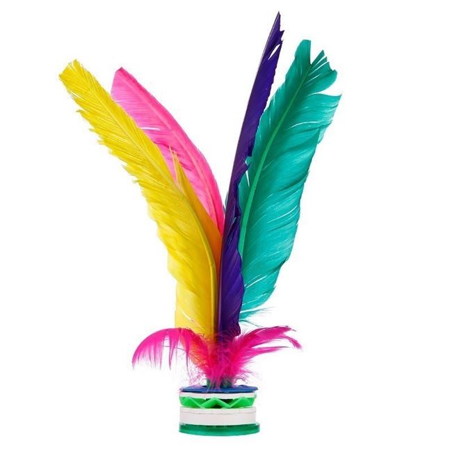 . Feather duster đào tạo người lớn khóa học sinh trẻ em croquet cạnh tranh hoa đặc biệt sc bọ cạp đá kháng thể dục - Các môn thể thao cầu lông / Diabolo / dân gian cầu đá lông vũ	