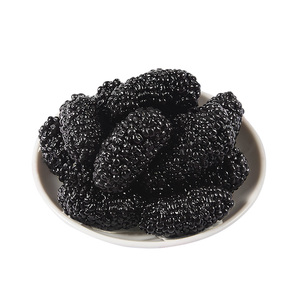 【自家枣铺】野生桑甚干250克半斤