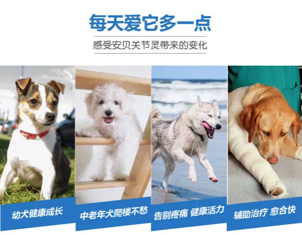 Khớp xương bảo vệ thú cưng, chó con lớn và trung bình, khớp xương, Shujinmao, mèo, chondroitin, khớp, máy tính bảng - Cat / Dog Health bổ sung sữa cho chó con