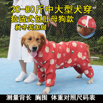 Dog clothes gush with large canine wool Labrador 4 foot bag belly anti-fall woolen dog pet autumn winter clothing