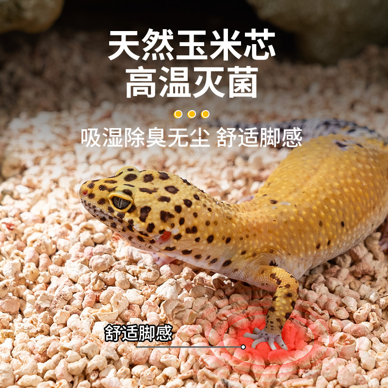 爬虫箱必备神器：天然玉米芯垫料，守护你的豹纹守宫与鬃狮蜥！