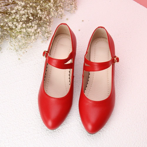 Обувь, танцующие туфли, из натуральной кожи, мягкая подошва