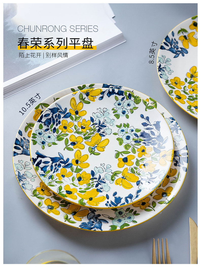 Modern housewives spring rong creative household ceramics tableware west dish fruit dish dish meals breakfast steak dishes