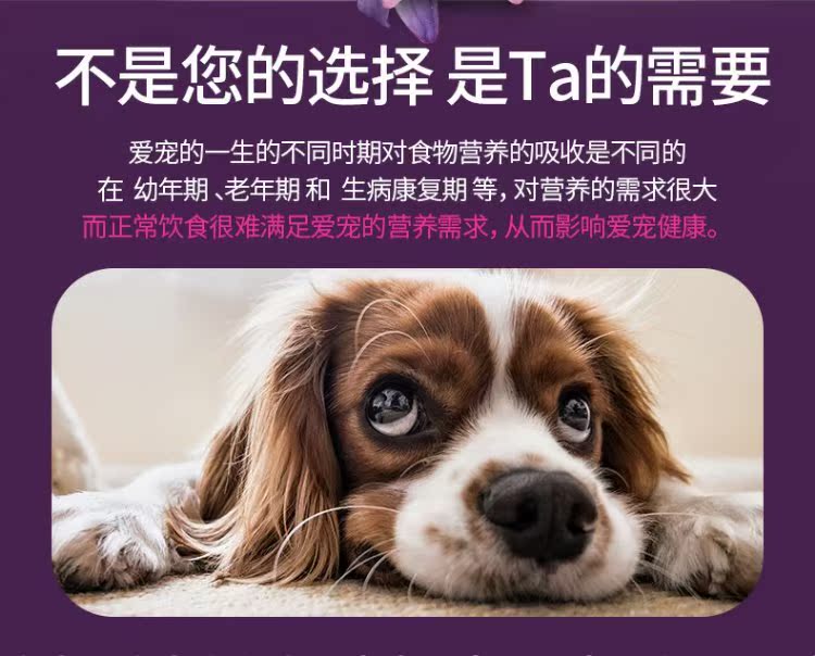 Pet dinh dưỡng kem mèo con mèo con lecithin đặc biệt vỗ béo Teddy dog ​​dinh dưỡng điều hòa đường tiêu hóa - Cat / Dog Health bổ sung Sữa cho chó lớn