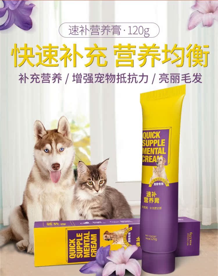 Pet dinh dưỡng kem mèo con mèo con lecithin đặc biệt vỗ béo Teddy dog ​​dinh dưỡng điều hòa đường tiêu hóa - Cat / Dog Health bổ sung Sữa cho chó lớn