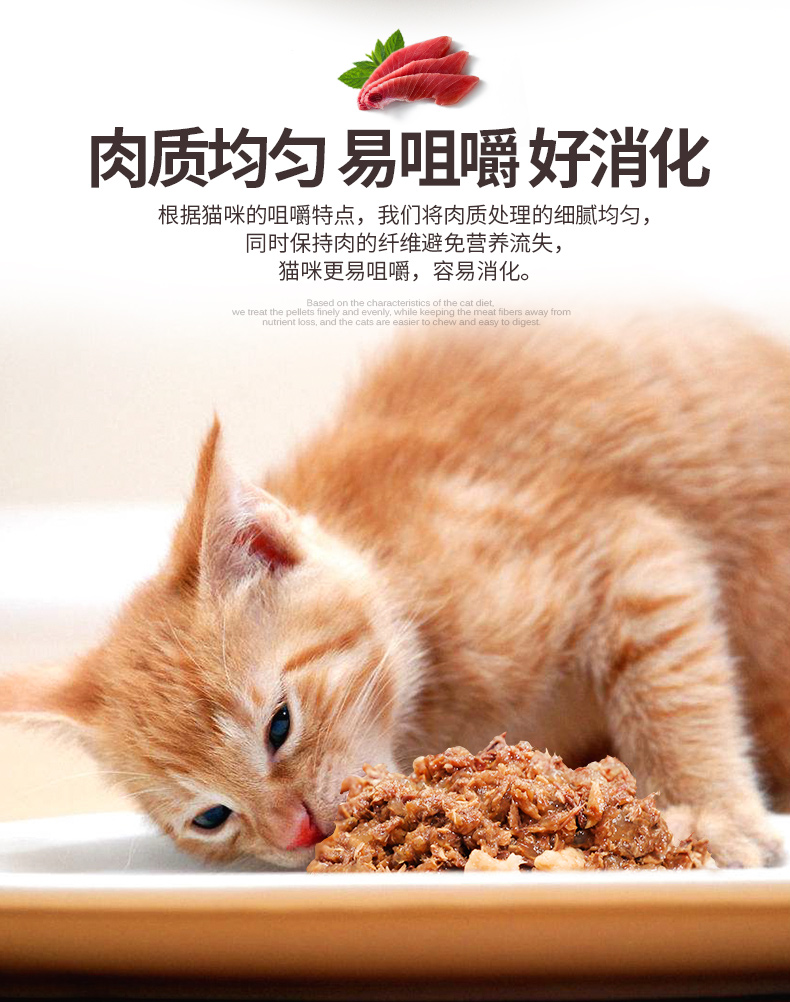 Mèo Đóng hộp Mèo Mèo Thức ăn ướt Mèo Thức ăn cho mèo Thức ăn dinh dưỡng Mèo Thức ăn cho mèo Đồ ăn nhẹ 175g * 6 lon thức ăn cho cún