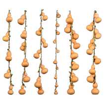 Gourd pendant Five Emperors Money door to door natural small gourd string door curtain to toilet bedroom living room hanging decorative curtain