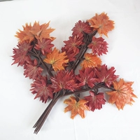 Проходящее клей осенний красный клен (12 установок)