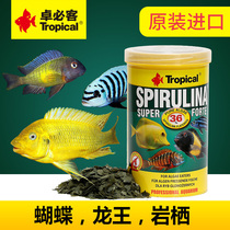 Zhuo Bike Zhuo Bike Sanhu Cichlid Butterfly Vegetarian Patch Fish Feed Dragon King 36 Spirulina Flake Fish Food