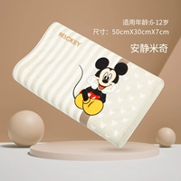 Тихий размер Микки-Бига