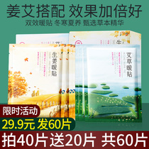 Warm paste baby Wormwood ginger warm body paste spontaneous hot paste winter whole body warm cold 100 tablets