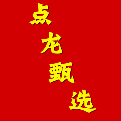 点龙甄选