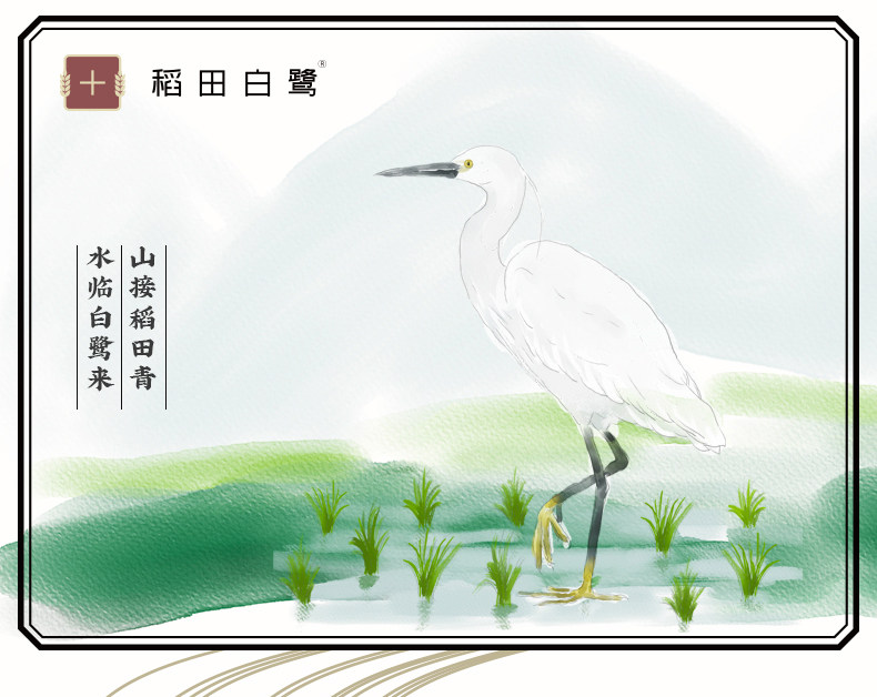 Da Tian 5 мешка кишечного порошка (3) _01.jpg