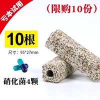 Quartz Nano [маленький квадрат/10 корней] +4 нитрифицирующие бактерии (ограничены 10 экземплярами)