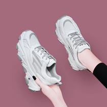 Daddy shoes womens spring and autumn new breathable inner heightening sneakers 2022 womens shoes lightweight soft-soled sports and leisure shoes