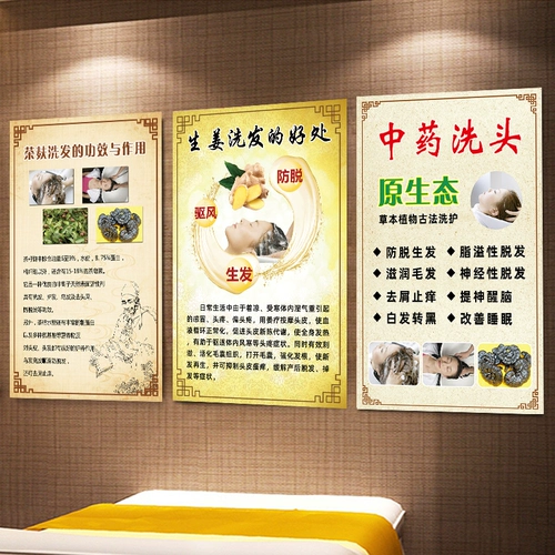 Чайные отруби питательская рекламная живопись китайская медицина Шампунь Цзян Терапия плакат навес