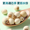 Dried Lotus Seeds 500g, Peeled and Coreless White Lotus Seeds, New Crop, Specialty Coreless Lotus Rice, Lotus Seed Soup with White Fungus