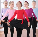 Детский демисезонный утепленный лонгслив, комплект, шифоновая юбка, штаны, осенний сезон