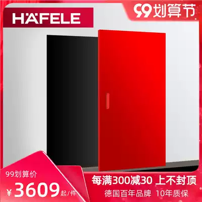 German Haifele HAFELE imported wooden sliding door single leaf full hidden sliding door crane ghost door pulley