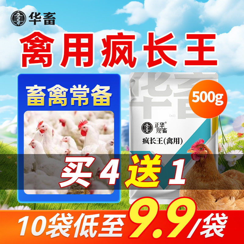 华畜疯长王禽用益生菌肉鸡鸭鹅催肥增重王家禽催肥宝增肥增加采食