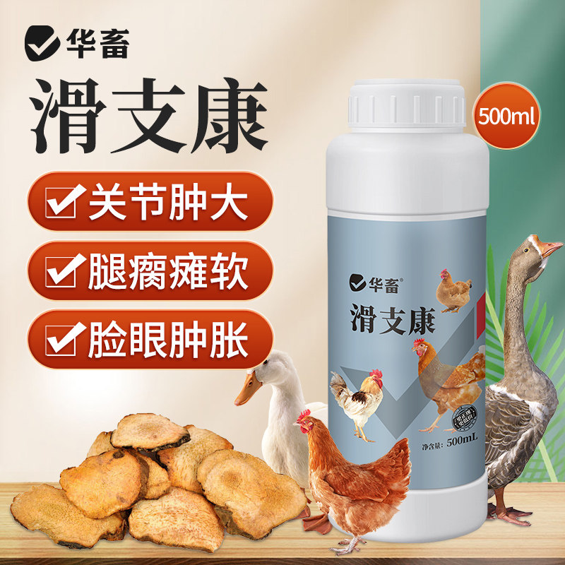 华畜滑支康滑支净鸡瘫软腿瘸鸡滑液囊鸭鹅支原体关节肿大站不起