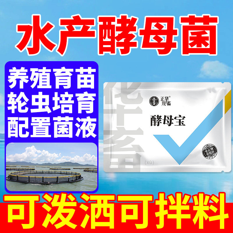 华畜诱食酵母粉水产养殖发酵菌液水蚤促长培育鱼虾轮虫育苗开口料