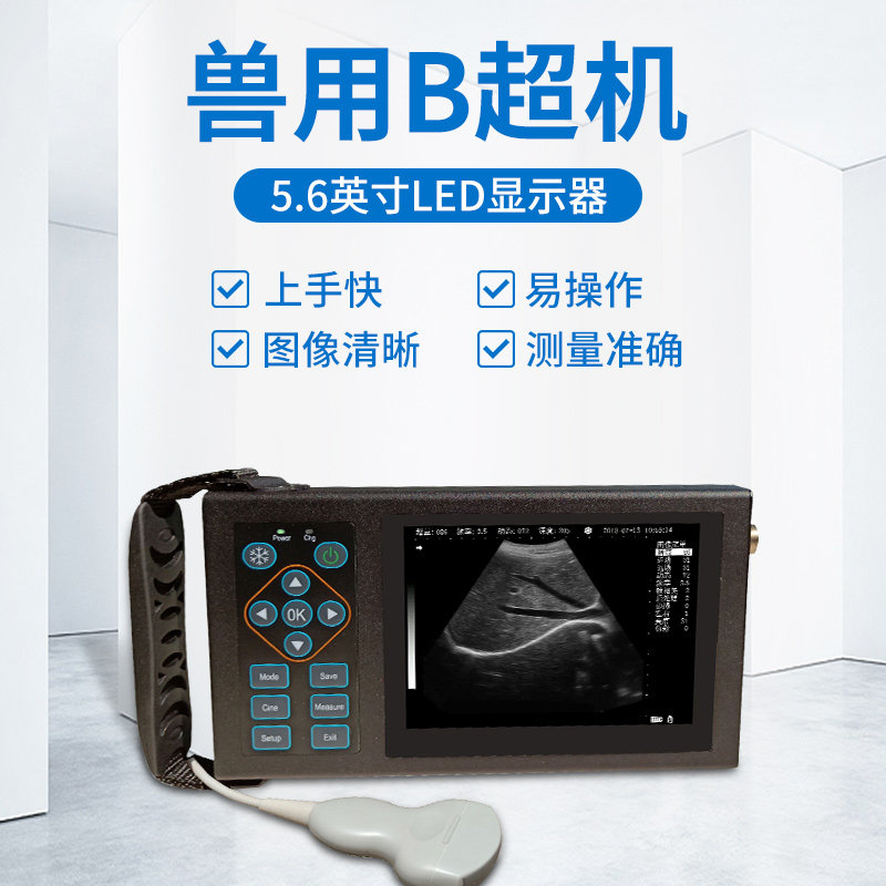 B ultrasound machine for pig B ultrasound portable pregnancy test instrument color ultra high definition