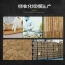 Chó mol dính sạch xương răng Labrador Golden Retriever thú cưng ăn thịt chó xương trong chó lớn nhai chó