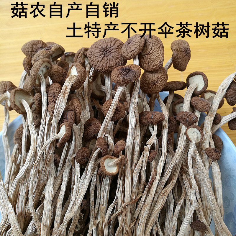 Jiangxi Guangchang native did not open umbrella dried tea tree mushrooms dry goods edible mushrooms Long handle tender fresh tea pay mushrooms 500g