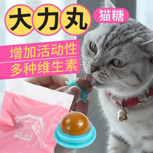 网牧 Кошачье сахар Douyin кот ледяной пат