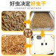 Dried mealworms, hamster food, hedgehog food, turtle food, pet feed supplies, staple food, golden bear nutritional snacks