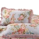 Vỏ gối cotton nguyên chất Nam Cực cặp bông đơn 48 * 74cm dành cho người lớn ký túc xá