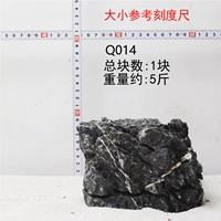 Выбор изображения имбиря QINSHI Q014