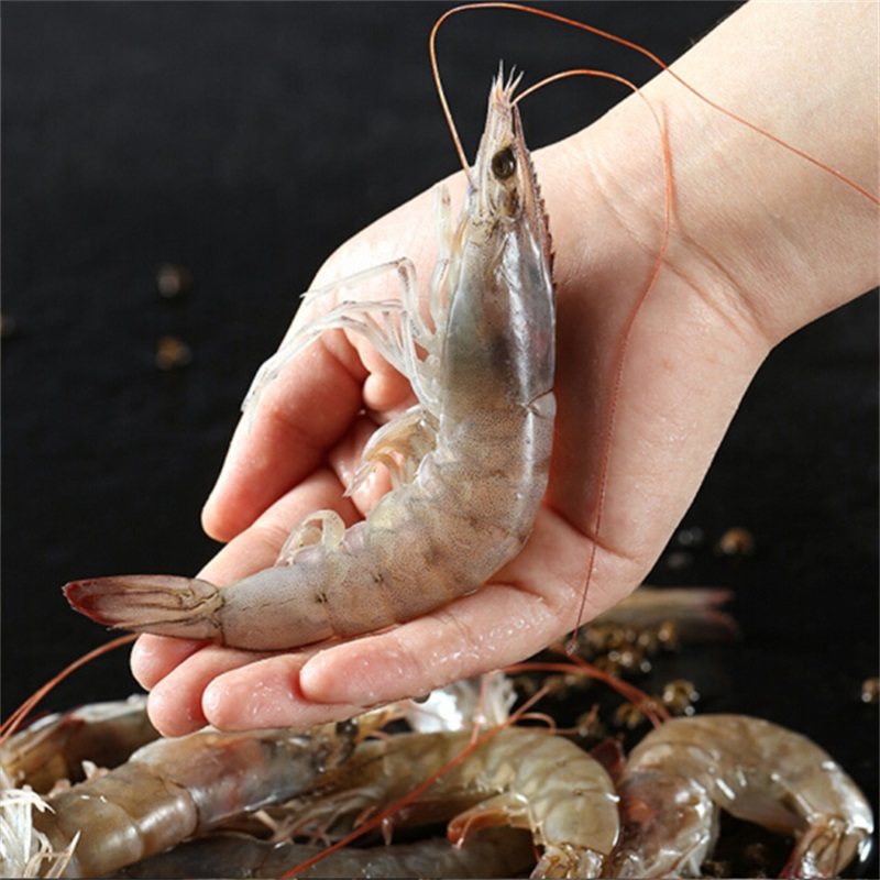 惠之园食品 青岛新鲜海捕活冻大虾 净重1400g 天猫优惠券折后￥69包邮（￥89-20）