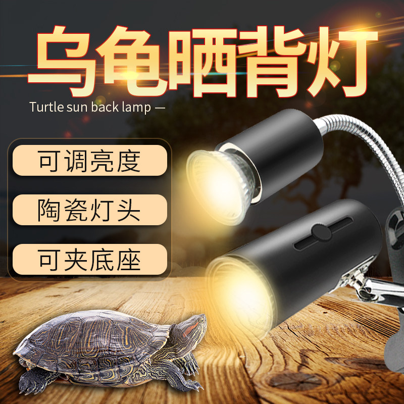 Turtle Back Light Uva Uvb Hibernating Supplies Overwinter Radiant Tortoise Back Sunbeds Reptile Heating Insulated Solar Lamps
