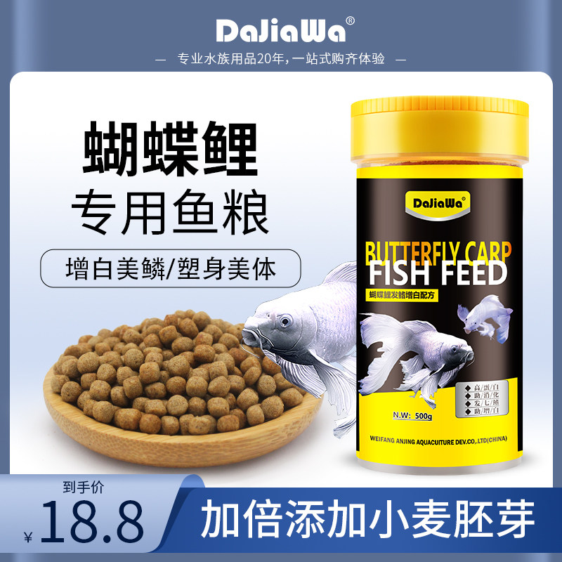 Butterfly Carp Special Feed Platinum Brocade Carp Staple Food Small Grain feed Yukon Beauty Squamous Body not muddy water fish food