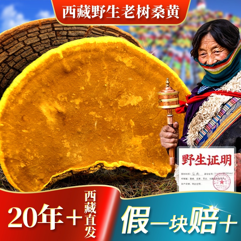 Sunhuang Wild Extraordinary 250g Tibet Autonomous Region Linjing Tongren Green Gold Homes non 500g