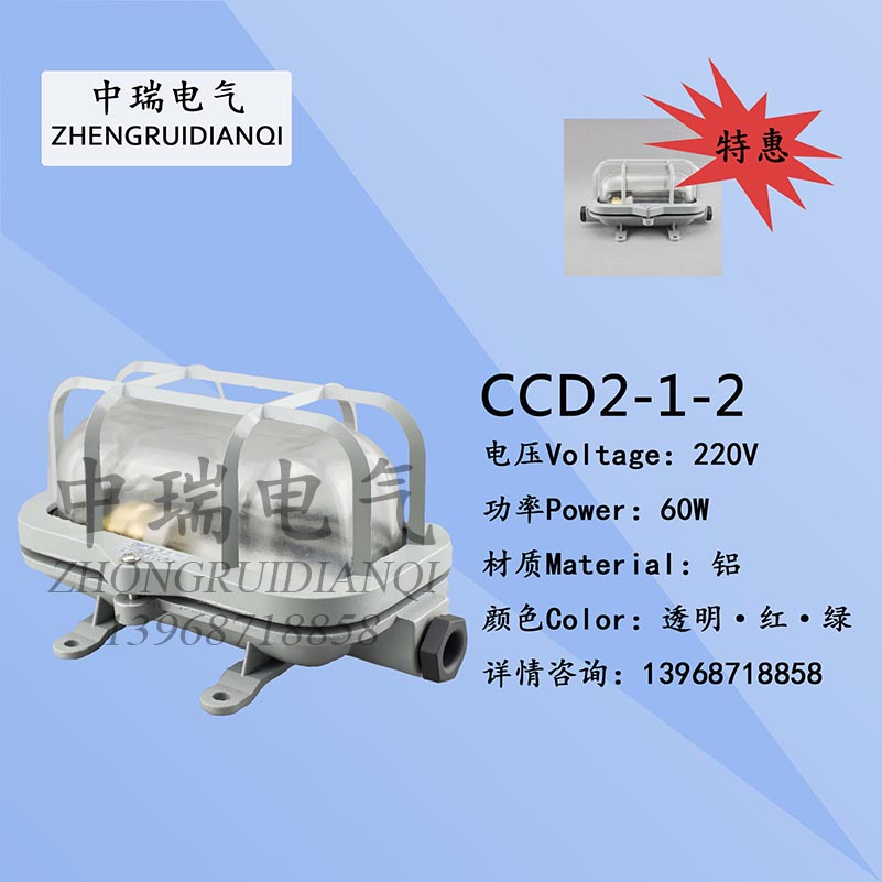 Marine white incandescent ceiling lamp CCD2-1-2 aluminium watertight incandescent lamp 220V60W waterproof deck godown lights