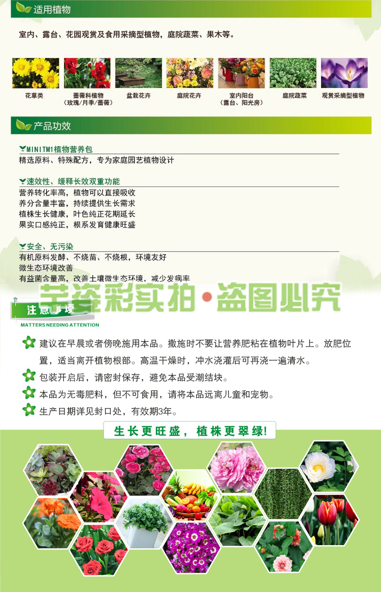 Nguồn cung cấp vườn, cây trồng, hoa tổng hợp, dinh dưỡng, đất, chất béo lớn, phân bón hữu cơ, phân bón tổng hợp bình tưới cây cảnh