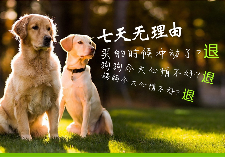 Pinat Pomeranian chó con đặc biệt thức ăn cho chó 2,5kg gà hương vị Chihuahua chó nhỏ thực phẩm tự nhiên nói chung - Chó Staples mua thức ăn cho chó
