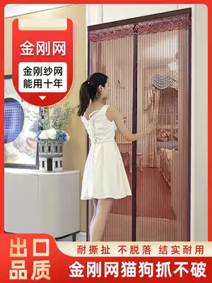 Summer anti-mosquito door curtain velcro mosquito net screen door anti-fly screen window household bedroom partition self-priming magnet free punching