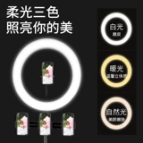 Интернет -знаменитость якорь Douyin Live Froadcast Beauty Thin Face Skinny Skin Light Lighat